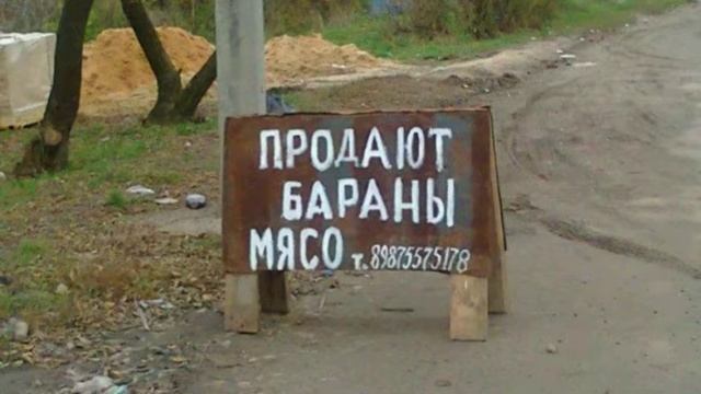 Смешные и прикольные фото 😂😂😂😂😂😂😂 смотреть онлайн
