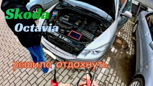 Octavia, Vesta и Santa Fe не заводятся. Диагностируем и запускаем.