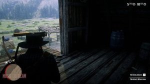 Как пройти испытание Стрелок 8 в Главе 2? | Red Dead Redemption 2