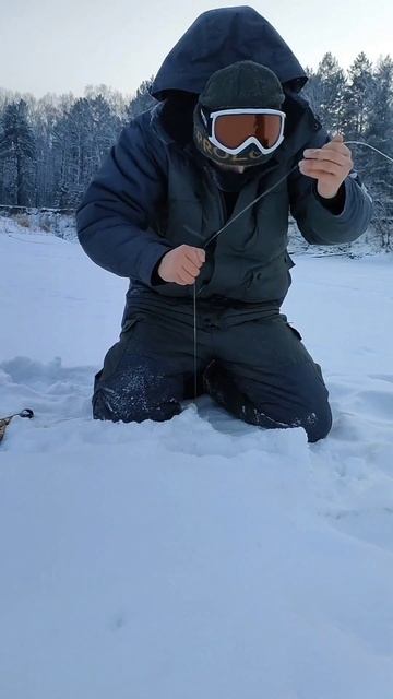 Рыбалка на жерлицы, рыба есть!!! #fishing #icefishing #pike #рыбалка смотреть онлайн