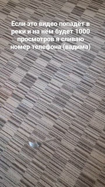 если это видео наберёт 1000 просмотров я сливаю номер те смотреть онлайн