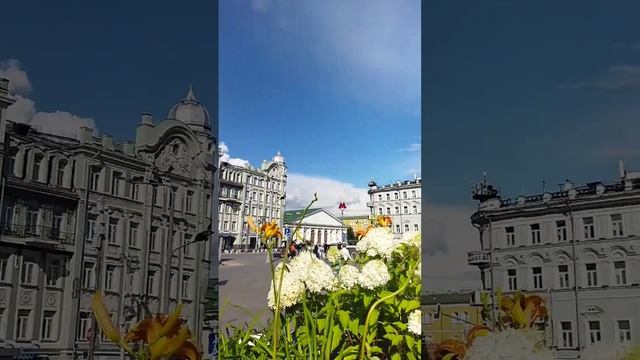 Красивые места: библиотека им Ленина 😍📽🌼 Больше кр? смотреть онлайн