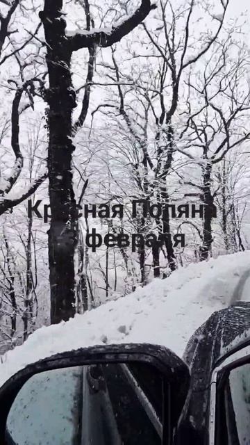 Красная Поляна, Сочи. Сегодня смотреть онлайн