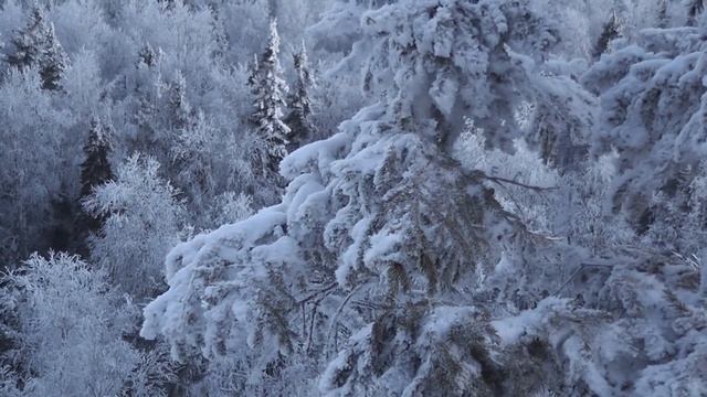 Ветренный Шунут.