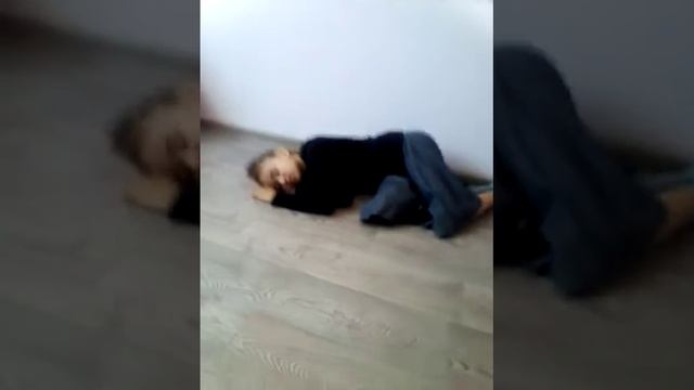 Мышь умерла👻💀 смотреть онлайн