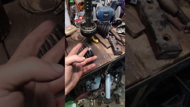 Landscape Enchantment