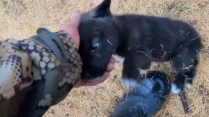 Первая шуга отшельники (30 лет одиночества 43 серия)