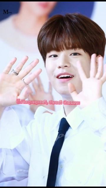 мои самые любимые фотки с сынмином чееек#stray #бродячие смотреть онлайн