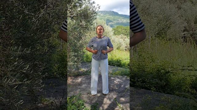 Массаж_ 12 основных меридианов