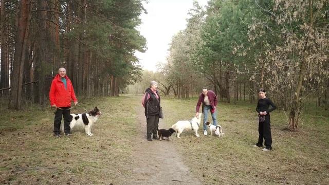 Прогулочки.