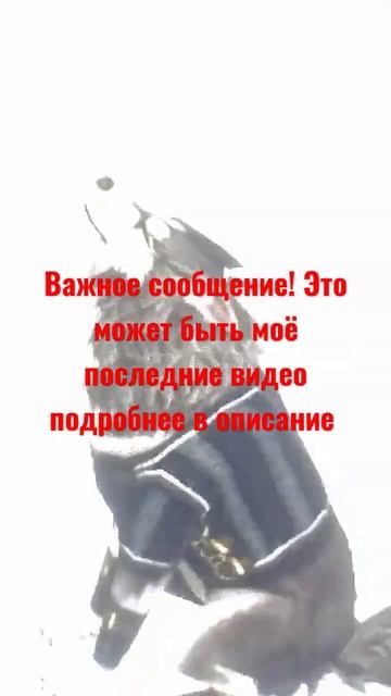 подробнее. Я уже слышу 5-6 раз какие-то взрывы ,по этому ? смотреть онлайн