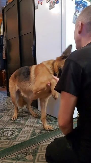 Айвус и глюки 😁🤣😂 Ты суслика видишь? Нет! А он есть ? смотреть онлайн