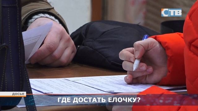 11.12.2023 Оформление договора на вырубку новогодней ели. смотреть онлайн