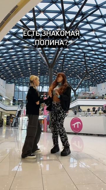 Есть знакомая Полина❓🤪 #тренд #dance #shorts #tiktokvideo #полина смотреть онлайн