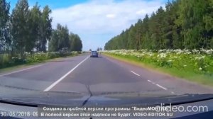 Песня про борщевик (оригинал «автохамы за рулём»)