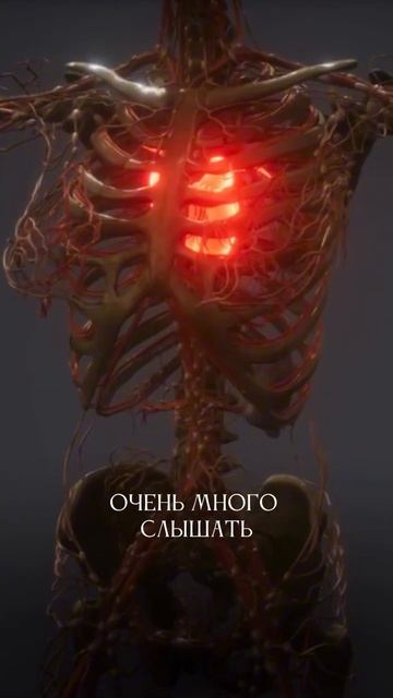 элемент в карте Ба Цзы отвечает за конкретные органы, ? смотреть онлайн