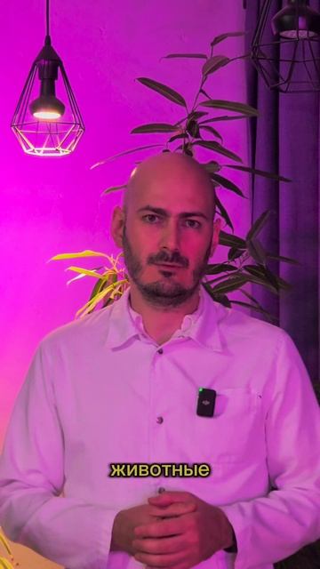 Можно ли кормить белку 🐿️ или ёжика 🦔?! Рассказываю, смотреть онлайн