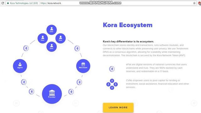 ICO KORA / Обзор проекта на русском языке