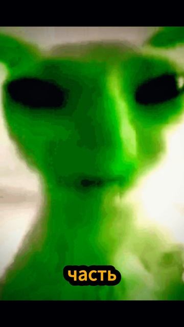 Во сколько приходит выплата Яндекс Еда? #доставка #кур смотреть онлайн