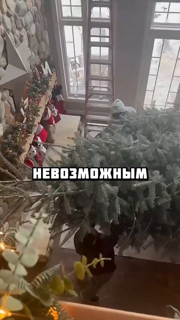 Срубили на Новый год самую ОГРОМНУЮ ËЛКУ! #факты #шортс смотреть онлайн