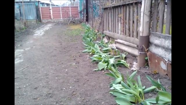 ОДНА ПРОГУЛКА СО МНОЙ//НОВАЯ ПРЯЖА//ПОДСКАЖИТЕ смотреть онлайн