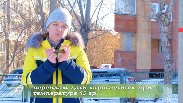 «Готовь телегу зимой!». Работаем над преумножением го? смотреть онлайн