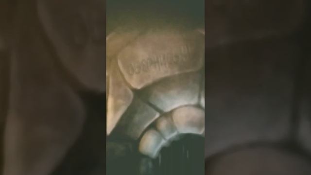 если что, такие книги есть в библиотеке? смотреть онлайн