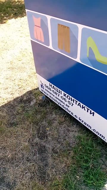 #shorts У нас есть такая благотвориьельная организация в смотреть онлайн