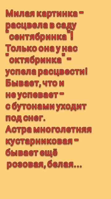 #Картинки_осени 8 смотреть онлайн