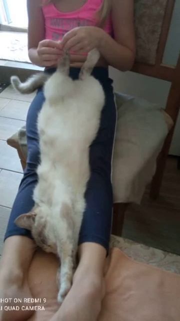 иди ешь смотреть онлайн