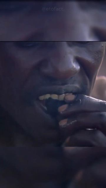 Едят комаров круглый год смотреть онлайн