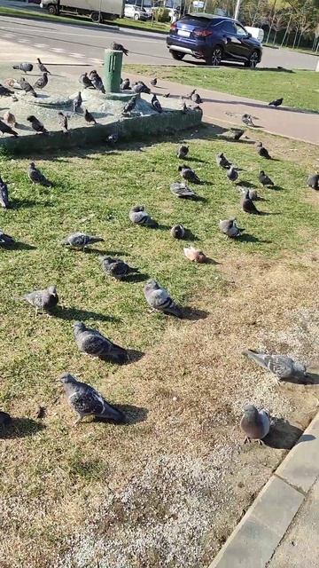 давайте жить дружно 🕊️👀 сериа1 смотреть онлайн