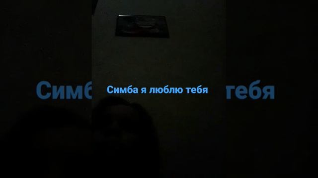 для хозяина симбочки у меня есть кот похож ни Симбу мо? смотреть онлайн