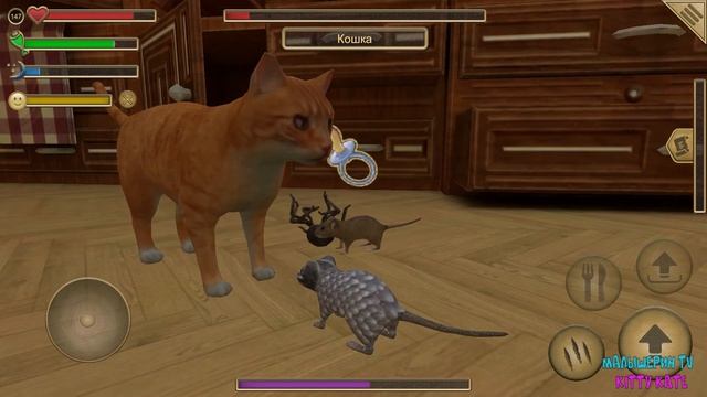 😍СИМУЛЯТОР МЫШИ🐭Кошки мышки😍Победила мышь🐭сим м? смотреть онлайн