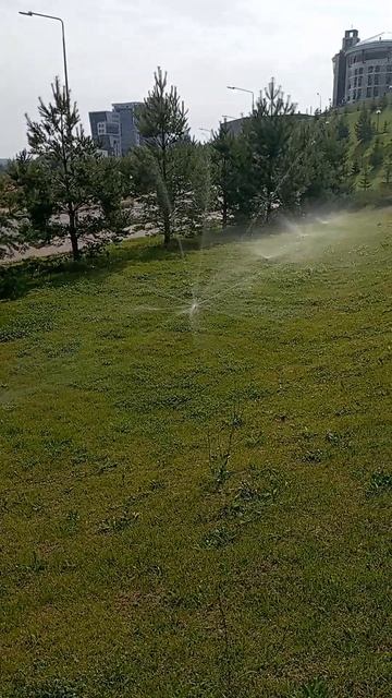 Ежедневный полив на Набережной. Вид на город просто ог смотреть онлайн