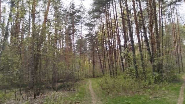 Счастливый май, любимый край смотреть онлайн