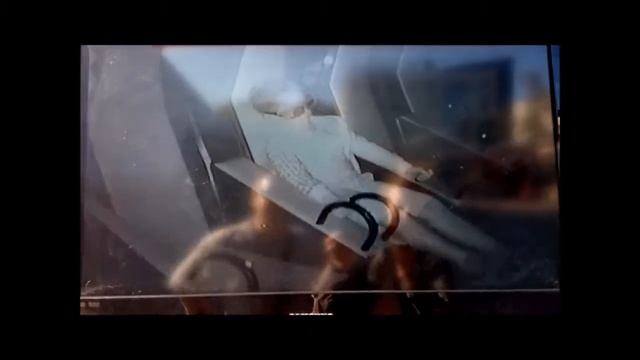 Прикол ребенок смотрит 5 D большие американские горки смотреть онлайн