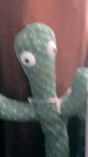 Алиса и кактус 🌵 смотреть онлайн
