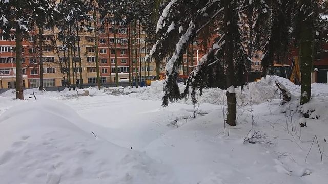 14.02.18 2ой Дачный мкрСходня Вырубка вековых елей опять п смотреть онлайн