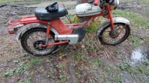 Мопед с движком от триммера в лесу