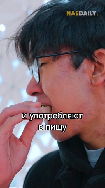Почему казахи едят камни? смотреть онлайн