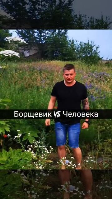 Борщевик против человека смотреть онлайн