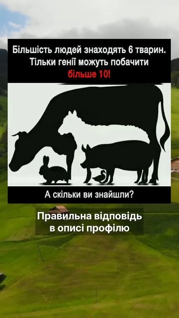 IQ Тест Головоломка. Скільки тварин ви змогли знайти на смотреть онлайн