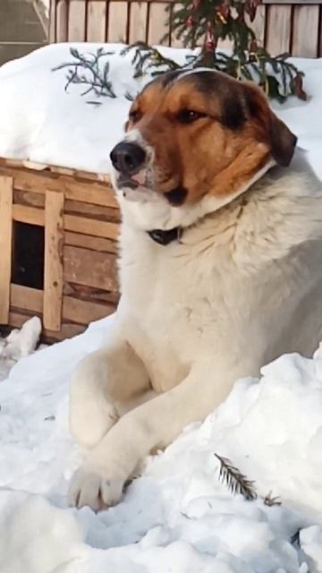 если у вас есть желание нам помочь сбер☎️89127233370 привя смотреть онлайн