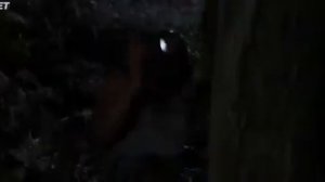 "Хищник" Новый фильм. Ужас кино (2022). Predator (2022)