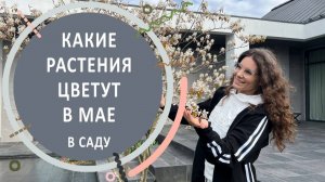 Какие растения цветут в мае в саду