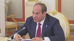 Встреча с Абдельфаттахом Сиси