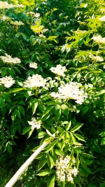 ✅️Больше не покупаю квас 👍