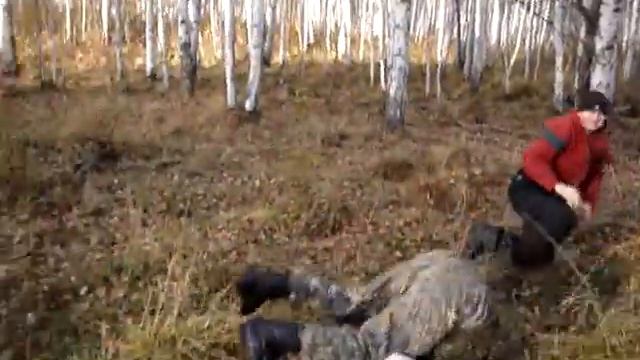 веселый брейк