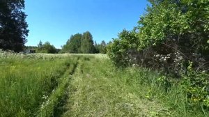 В ДОМЕ ВСЯ ИСТОРИЯ СЕМЬИ! Брошенные фотографии, документы и прочее. Заброшенная деревня ПАВЛОВО